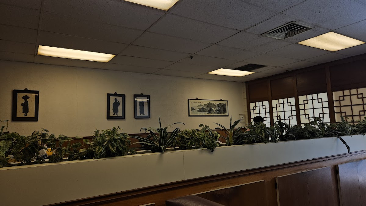 Willow Tree Korean Restaurant